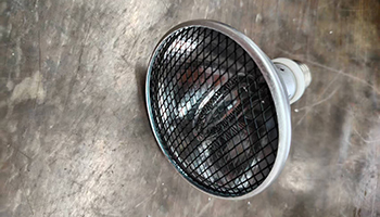 uvbless-metal-halide-reptile-lamp-bulb